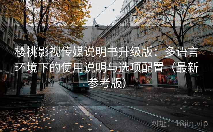 樱桃影视传媒说明书升级版：多语言环境下的使用说明与选项配置（最新参考版）