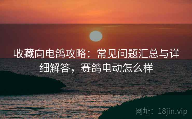 收藏向电鸽攻略：常见问题汇总与详细解答，赛鸽电动怎么样