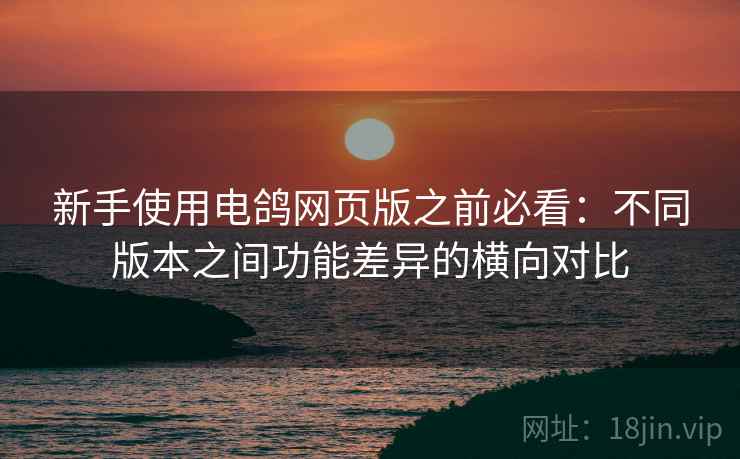 新手使用电鸽网页版之前必看：不同版本之间功能差异的横向对比