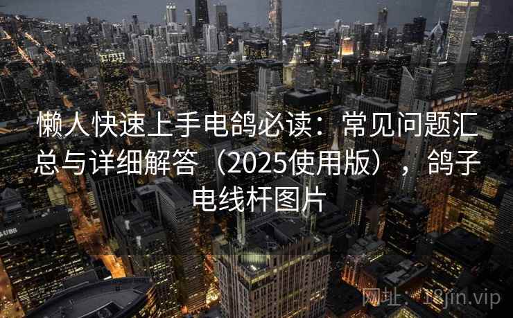 懒人快速上手电鸽必读：常见问题汇总与详细解答（2025使用版），鸽子电线杆图片