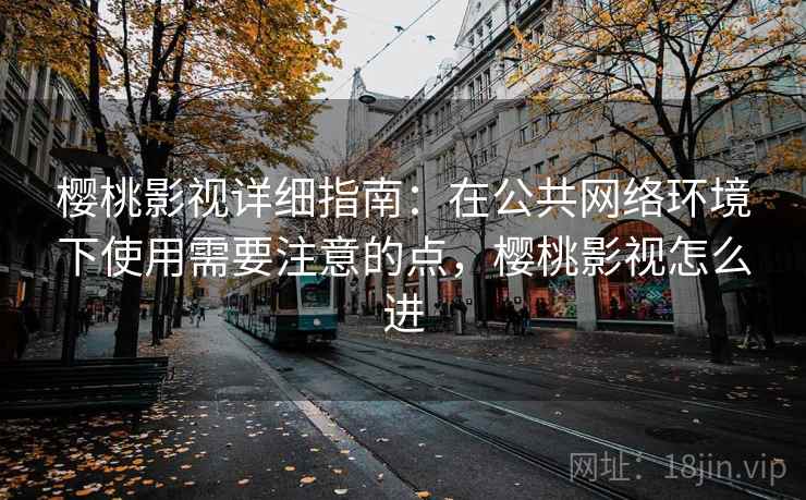 樱桃影视详细指南：在公共网络环境下使用需要注意的点，樱桃影视怎么进