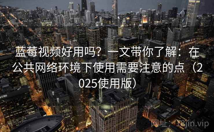蓝莓视频好用吗？一文带你了解：在公共网络环境下使用需要注意的点（2025使用版）