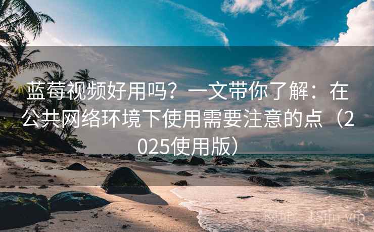 蓝莓视频好用吗？一文带你了解：在公共网络环境下使用需要注意的点（2025使用版）