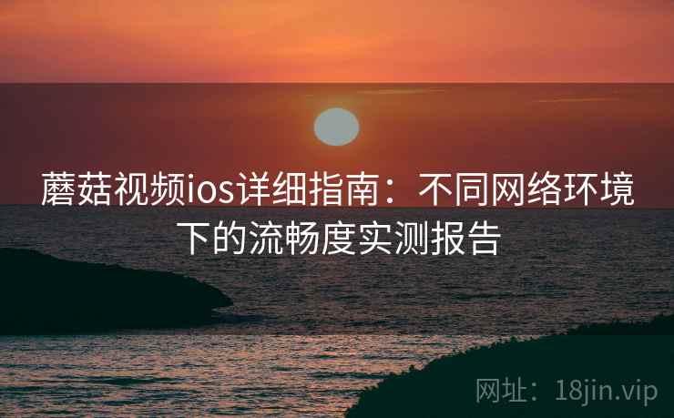 蘑菇视频ios详细指南：不同网络环境下的流畅度实测报告