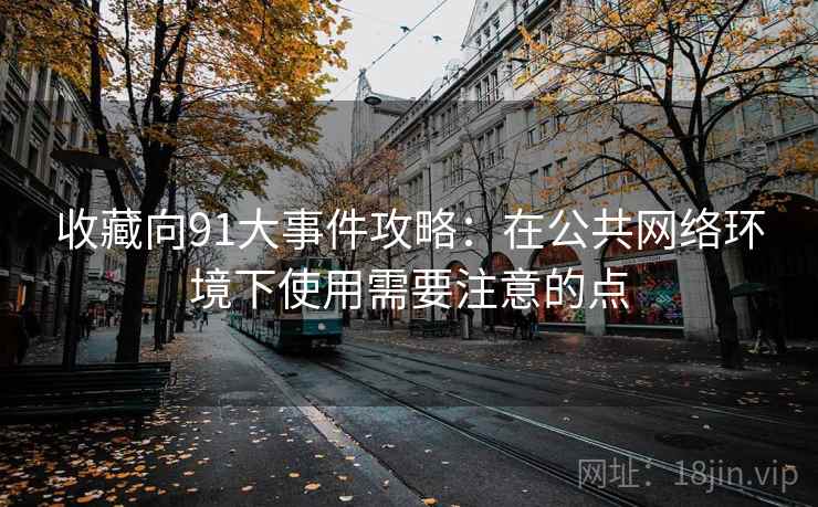 收藏向91大事件攻略：在公共网络环境下使用需要注意的点