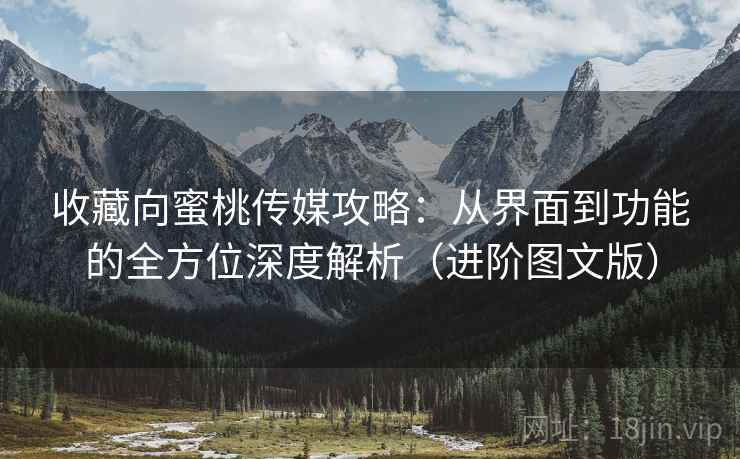 收藏向蜜桃传媒攻略：从界面到功能的全方位深度解析（进阶图文版）