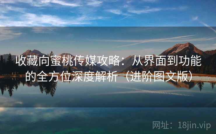 收藏向蜜桃传媒攻略:从界面到功能的全方位深度解析(进阶图文版) 收藏向蜜桃传媒攻略:从界面到功能的全方位深度解析(进阶图文版)