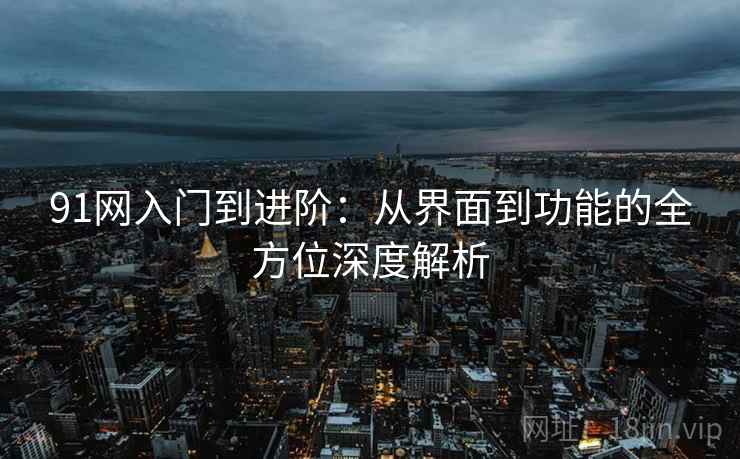 91网入门到进阶：从界面到功能的全方位深度解析