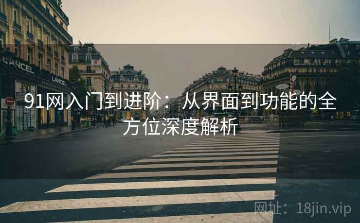 91网入门到进阶:从界面到功能的全方位深度解析 91网入门到进阶:从界面到功能的全方位深度解析