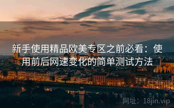 新手使用精品欧美专区之前必看：使用前后网速变化的简单测试方法