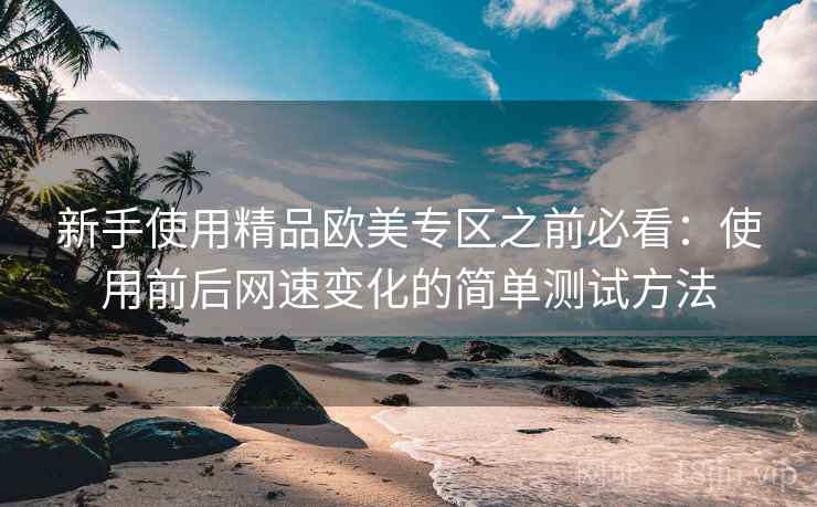 新手使用精品欧美专区之前必看：使用前后网速变化的简单测试方法