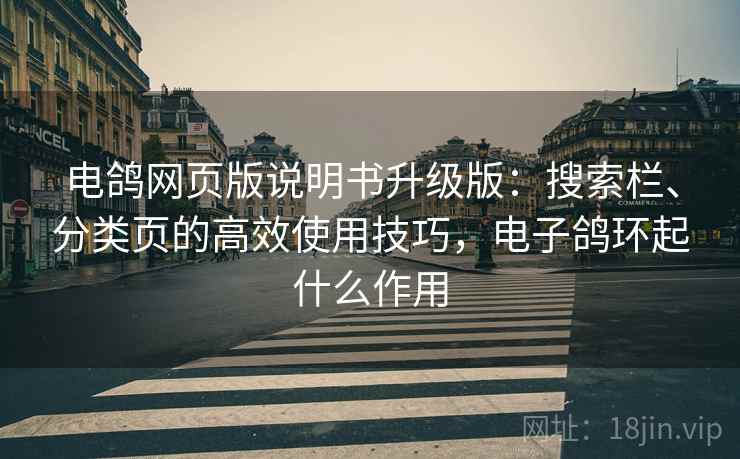 电鸽网页版说明书升级版：搜索栏、分类页的高效使用技巧，电子鸽环起什么作用