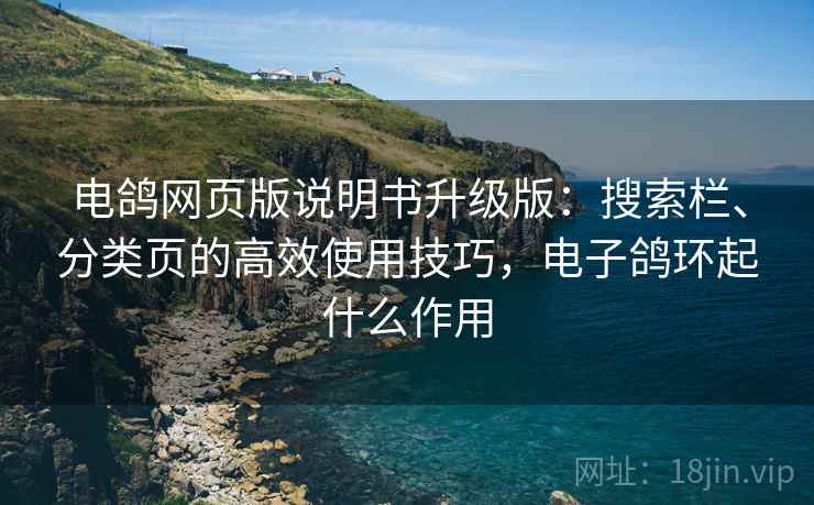 电鸽网页版说明书升级版：搜索栏、分类页的高效使用技巧，电子鸽环起什么作用