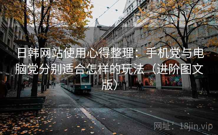 日韩网站使用心得整理：手机党与电脑党分别适合怎样的玩法（进阶图文版）