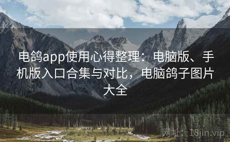 电鸽app使用心得整理：电脑版、手机版入口合集与对比，电脑鸽子图片大全