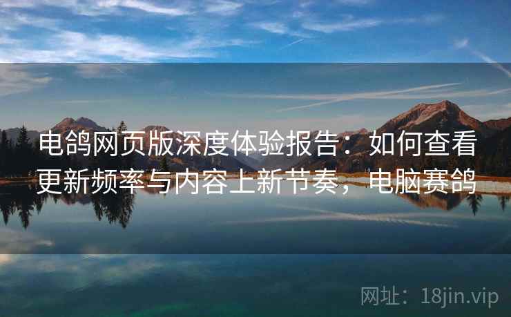 电鸽网页版深度体验报告：如何查看更新频率与内容上新节奏，电脑赛鸽