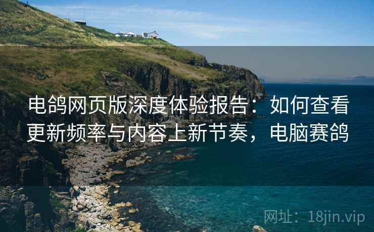 电鸽网页版深度体验报告：如何查看更新频率与内容上新节奏，电脑赛鸽