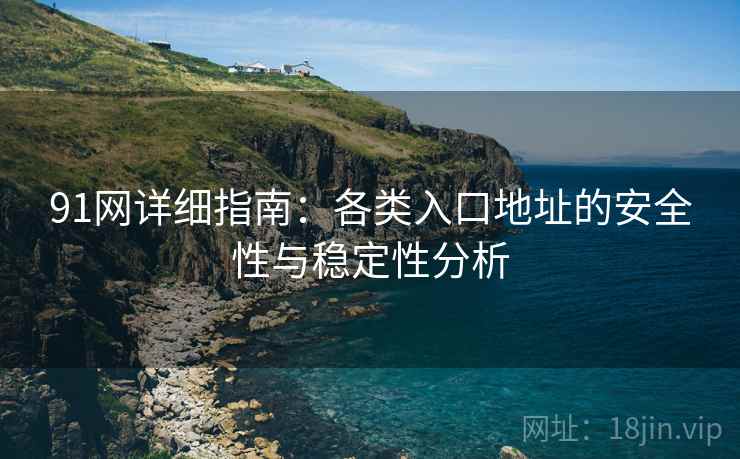 91网详细指南:各类入口地址的安全性与稳定性分析 91网详细指南:各类入口地址的安全性与稳定性分析