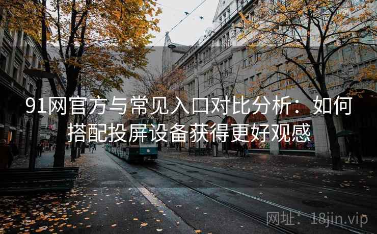 91网官方与常见入口对比分析:如何搭配投屏设备获得更好观感 91网官方与常见入口对比分析:如何搭配投屏设备获得更好观感