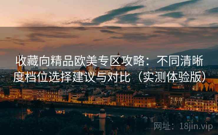 收藏向精品欧美专区攻略：不同清晰度档位选择建议与对比（实测体验版）
